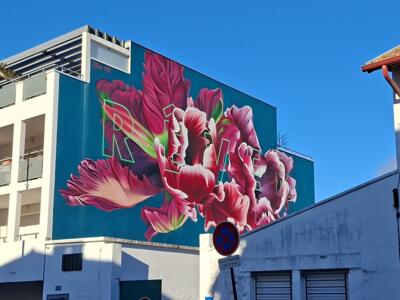 Dreaming — Street art by Sophie Mess in Bayonne