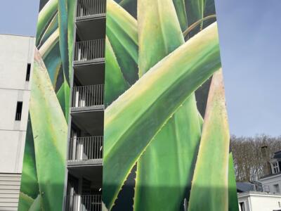 Dancing Aloe — Street art by Adèle Renault in Bayonne