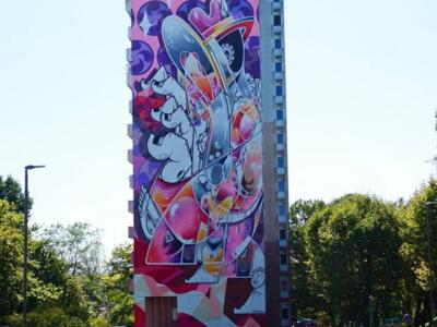 Our beloved land — Street art de How & Nosm à Bayonne