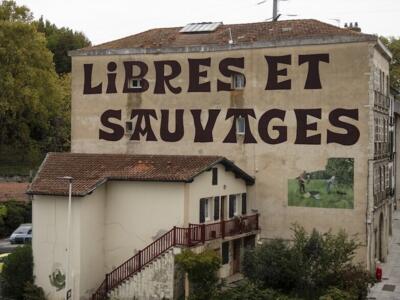 Free and Wild — Street art by Escif in Bayonne