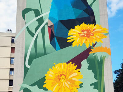 Merops gigantis — Street art de Sowan à Valence