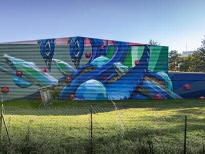 The Two Peacocks — Street art by Jeroo in Rillieux-la-Pape