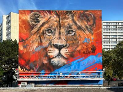 Golden Hour — Street art by Mac Lloyd in Rillieux-la-Pape