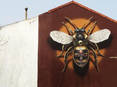Queen Bee — Street art by Häcko Crâne in La Bañeza