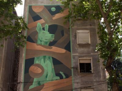 For the Street Dogs of Tirana — Street art de MOTS à Tirana