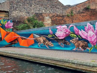 Le Chasseur de rats — Street art de Annatomix à Birmingham
