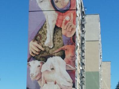 I Believe in Goats — Street art by Inti in Łódź