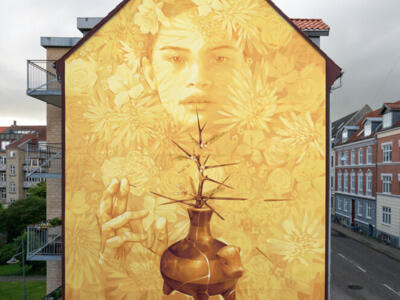 Tamarugo II — Street art de Inti à Aalborg