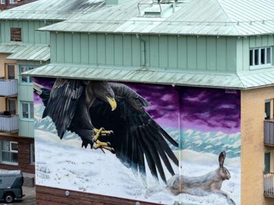 White-tailed eagle swooping on a hare — Street art by Punta in Vänersborg