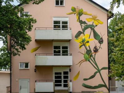 Fleurs jaunes sur une façade rose — Street art de Korallpionen à Vänersborg