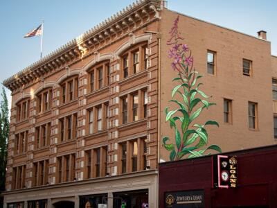 Fireweed — Street art by Mona Caron in Portland