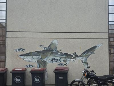 Oceanic whitetip shark and pilot fish — Street art in Le Havre