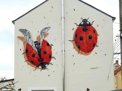 Coccinelles monumentales de War au Mans — Street art de War à Le Mans