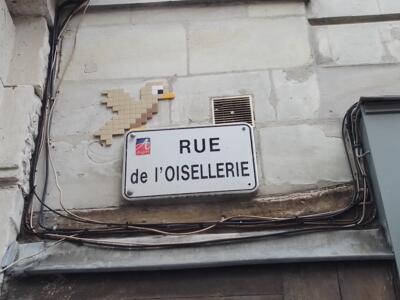 The Tiled Bird above Rue de l'Oisellerie — Street art in Angers