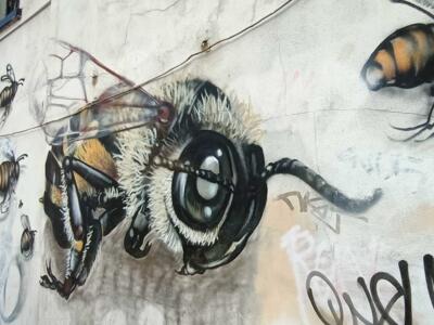 Abeilles géantes sur mur blanc — Street art de Masai à London