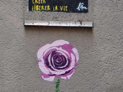Stencil féminin et rose peinte de L'im — Street art à Clermont-Ferrand