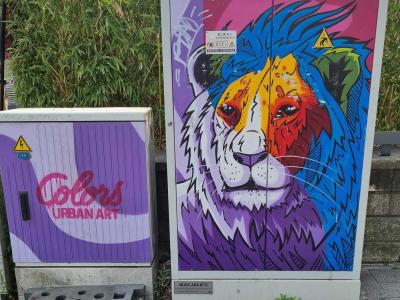 Multicolored Lion Colors Urban Art — Street art in Strasbourg