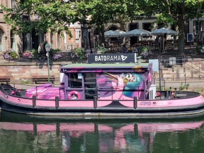 Batorama rose sur eau — Street art de Stom500 à Strasbourg
