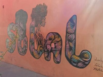 Psychedelic SOCIAL Lettering — Street art by Lady bug in Rezé