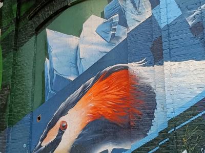 Great Crested Grebe on Fractured Ice — Street art by JD Art in Berlin