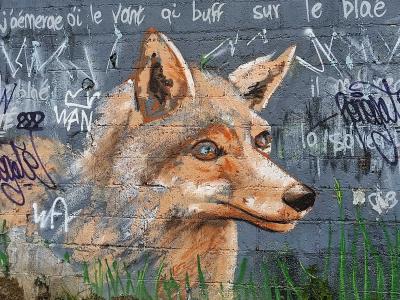 Blue-Eyed Fox Portrait — Street art in Redon