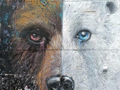 Diptych of Brown Bear and Polar Bear — Street art by MS Béja in Berlin