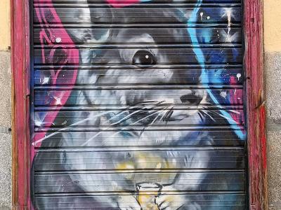 Realistic Urban Rat — Street art in Madrid