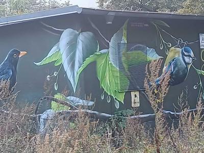 Detailed Multicolor Birds Nature — Street art by ART-EFX in Berlin