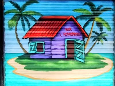 Colorful Tropical House — Street art in Saint-Paul