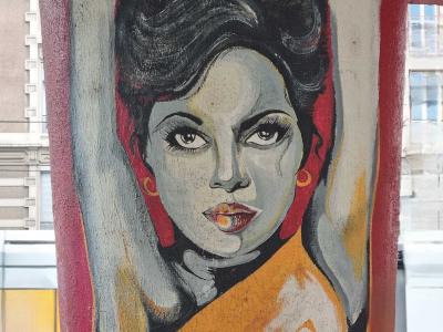 Portrait of Diana Ross on Pillar — Street art in Grenoble