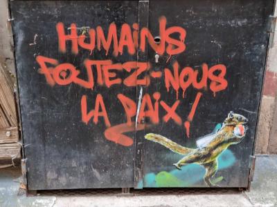 Humans, Leave Us in Peace — Street art in Strasbourg