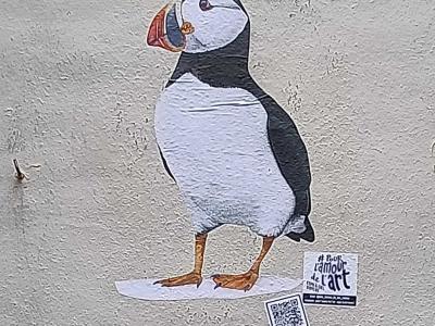 Macareux moine réaliste sur mur — Street art à Nantes