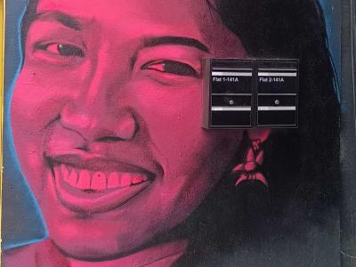 David Speed Pink — Street art by David Speed in London