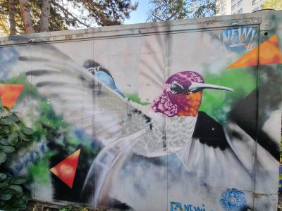 Hummingbird in Flight by Newi — Street art by Newi (Julien Berland) in Clermont-Ferrand