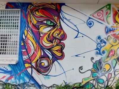 Visage aux mèches multicolores — Street art à Cilaos