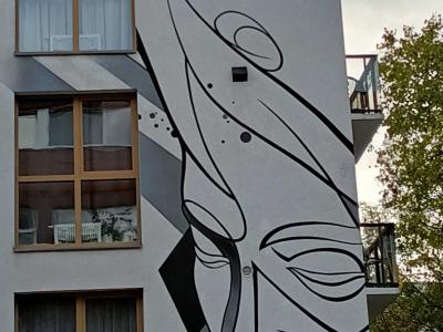 Stylized linear face — Street art in Vilnius