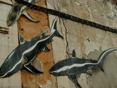 Trois requins sur la façade désaffectée — Street art à Lisboa