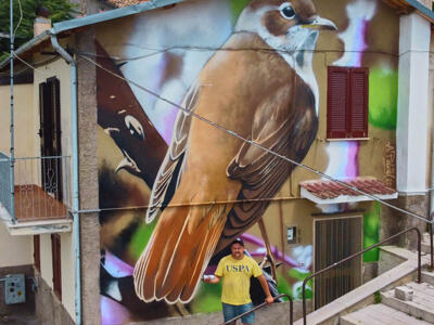 Nesting Time — Street art by Andrii Palval in Aielli