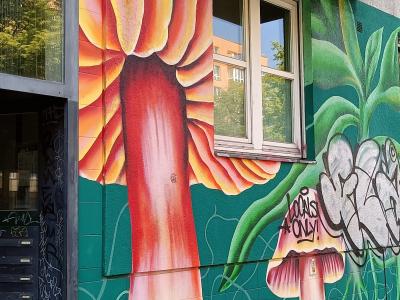 Champignons géants du mur vert — Street art à Berlin
