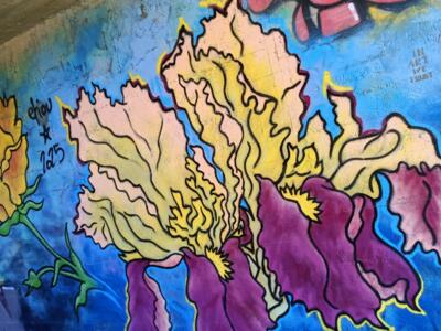 Spray of irises on electric blue — Street art in Le Mans