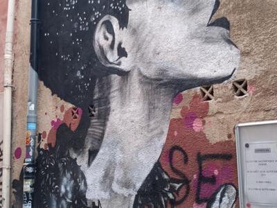 Femme à la chevelure étoilée, noir et blanc — Street art à Marseille