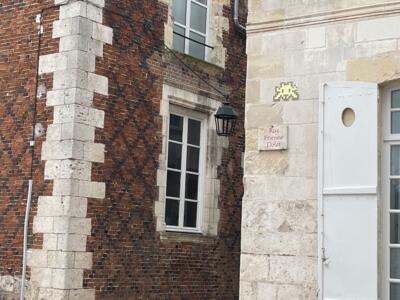 ORLN_08, Space Invader de la rue Parisie — Street art de Invader à Orléans