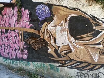 Fish skull with an open book — Street art in Le Mans