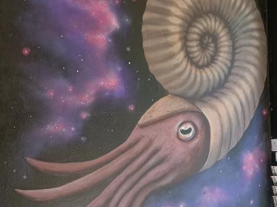 Cosmic Ammonite by La Payette — Street art by La Payette in Berlin