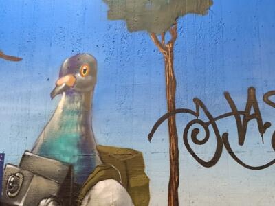 Photographer pigeon in the tunnel — Street art by Goodlack Art in Köln
