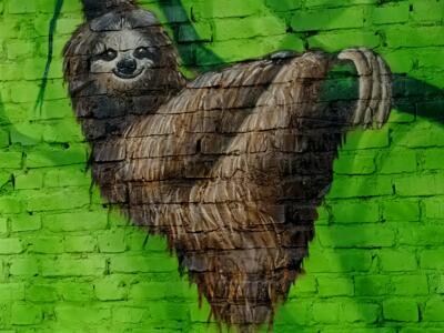 Sloth hanging from a vine — Street art by Colorrevolution e.V. in Köln
