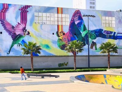 The Birds of the Skatepark — Street art by Abid in Casablanca