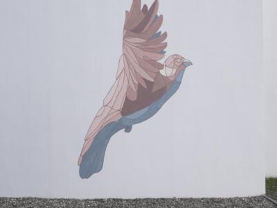 Los Paseos #7 — Street art de Taquen à Saint-Palais