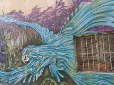 Jungle Jam aux aras par Poasson — Street art de Poasson à Marseille