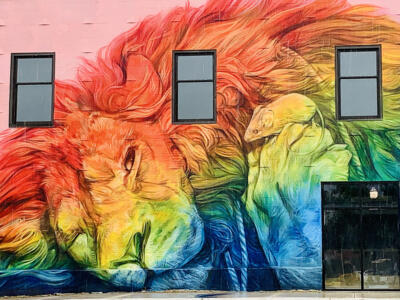Little Friends — Street art by Emily Ding in Jackson